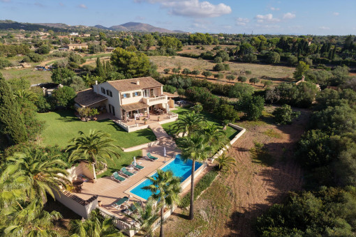 Birdview