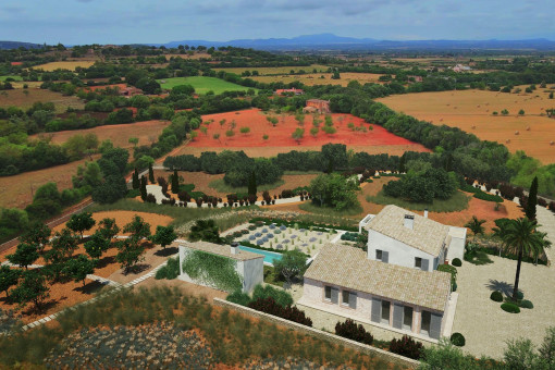 Bird`s-eye view
