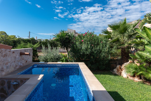 Pool in the Rear Garden