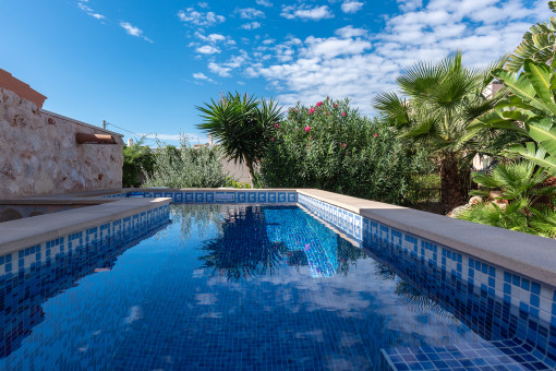 Pool in the Rear Garden