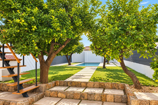 Private saltwater pool in the Mediterranean garden