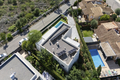 Bird Views