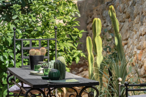 Outdoor Area