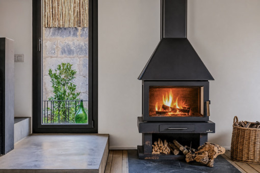 Fireplace in the Living Area