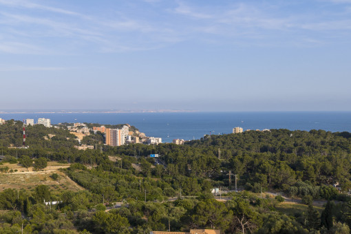 Sea Views from the Rooftop Terrace