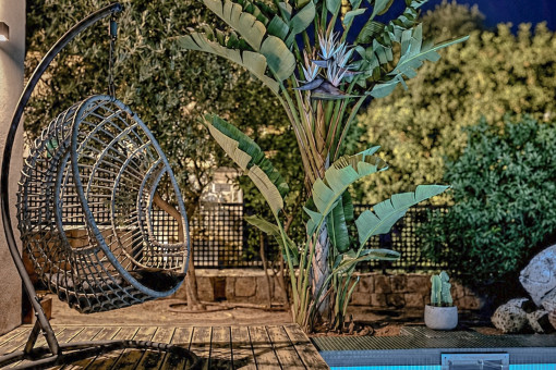 Outdoor Area