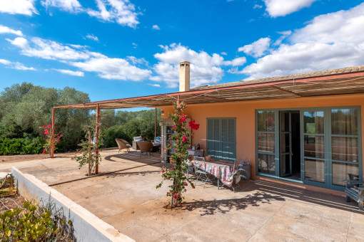 Guesthouse terrace
