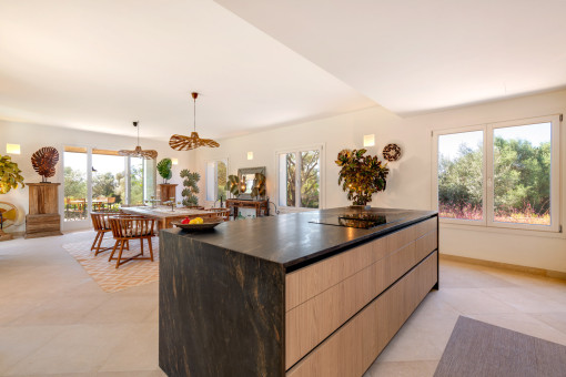 Open kitchen and dining room concept