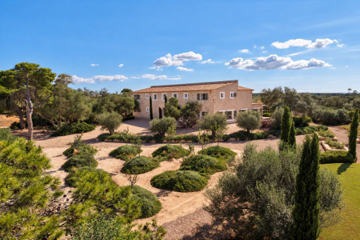 Front garden of a spectacular finca