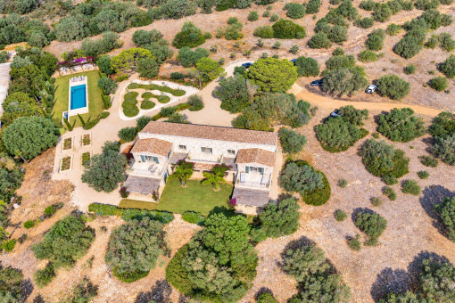 Birdview