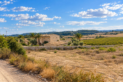 Panoramic views of the Mallorcan countryside