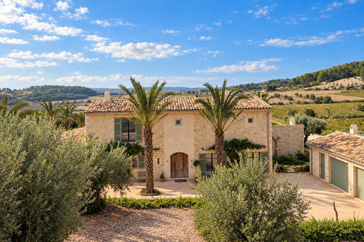 Mediterranean courtyard with palm trees