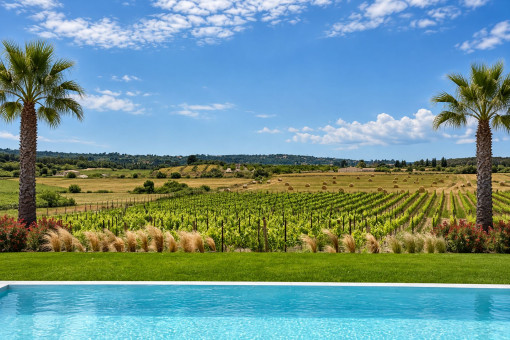 Pool with panoramic views of the private vineyard