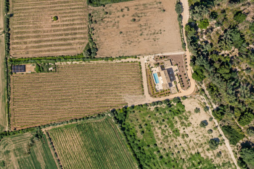 Aerial view of the finca and its vineyard