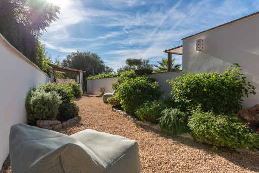 Sun-Drenched Garden with All-Day Sunshine