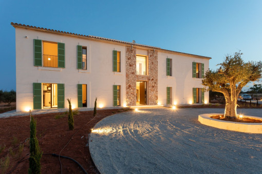 Front View at Night