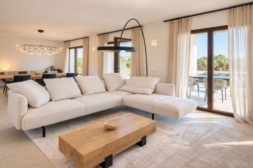 Light-Filled Living Area
