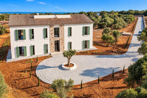 Driveway to the Finca with an Olive tree roundabout