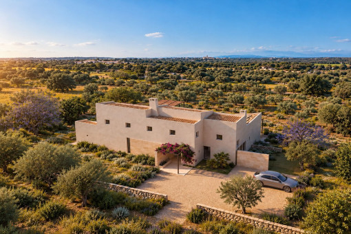 Mediterranean Elegance Meets Modern Design
